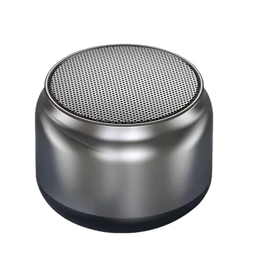 Portable Mini Bluetooth Speaker with TWS Wireless Pairing, FM Radio,