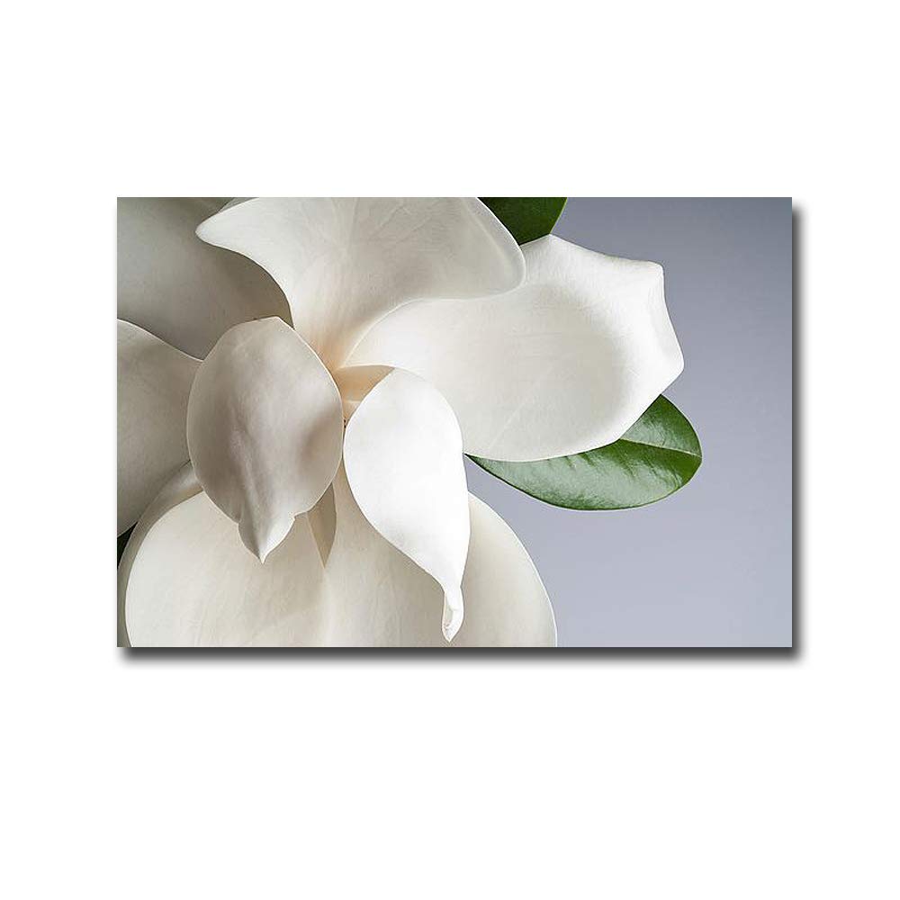Magnolia by PhotoINC Studio Premium Gallery-Wrapped Canvas Giclee Art (16 in x 24 in, Ready-to-Hang)