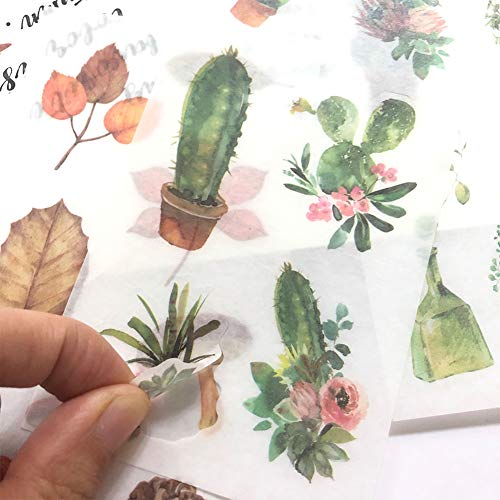 image for 1000Art Nature Stickers Set(18 Sheets / 200+) Fall Leaves Cactus Plant