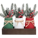 Winter Mason Jars,...image