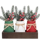 Christmas Mason Jars, Christmas Centerpieces for Tables, Wood Tray & 3 Painted Decorative Jars, C...