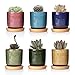 T4U 6.3cm Keramik Sukkulenten Töpfe Kaktus Pflanze Töpfe Mini Blumentöpfe EIS Crack Höher Serie 6 Farben Set mit Untersetzer