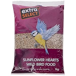 Extra Select Sunflower Hearts Wild Bird Food, 1 kg