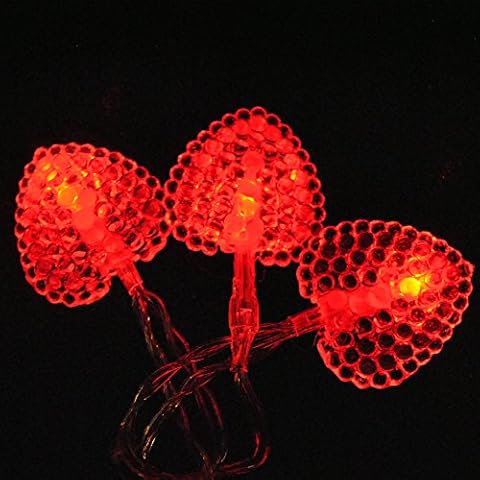 LightsGo 2M Indoor Heart-Shaped LED Fairy Lights Cover