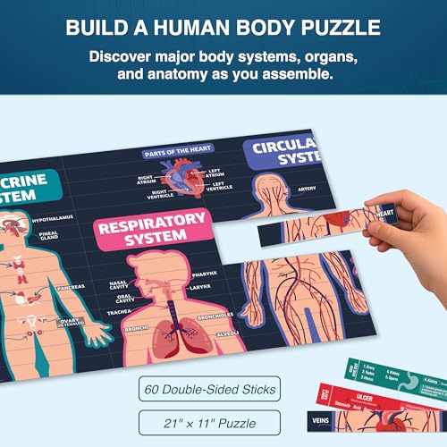 Image of Chalk & Chuckles Smart Sticks Medical Science - Human Body Puzzle Game for Future Doctors, STEM Biology Learning Toy for Kids 10+, Educational Gift for Teens-Boys, Girls 7-14 Years