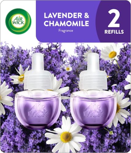 Image of Air Wick Plug in Scented Oil Refill, Lavender & Chamomile, Essential Oils, Air Freshener (Pack of 12)