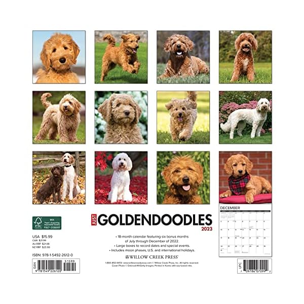 Just Goldendoodles 2023 Wall Calendar – Bild 3