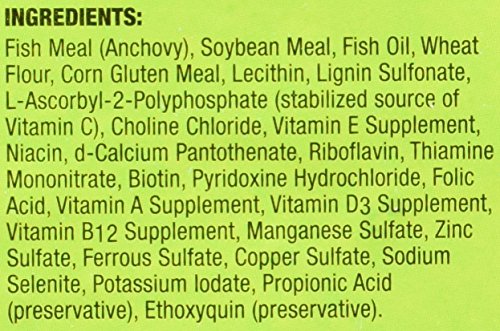 Zoo Med Aquatic Frog and Tadpole Food, 12 Ounces, Made in The USA, Black (26043) - Image 4