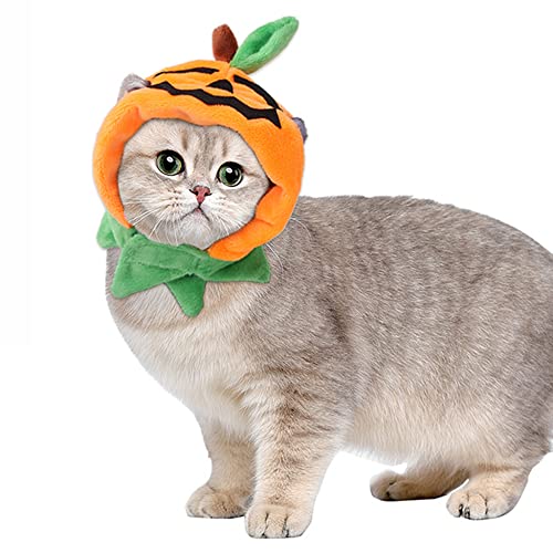 NACOCO Halloween Katze Kostüme Haustier Kürbis Hut Kitty Verstellbar mit Schal Cosplay Halsband Kappe für Katze Kleine Hund Party Kätzchen Dekoration Niedliches Kopf Zubehör (Orange) Cover