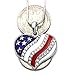 Soulbreezecollection USA American Flag Heart Patriotic 4th of July Independence Day Pendant Necklace & Dangle Earrings Set