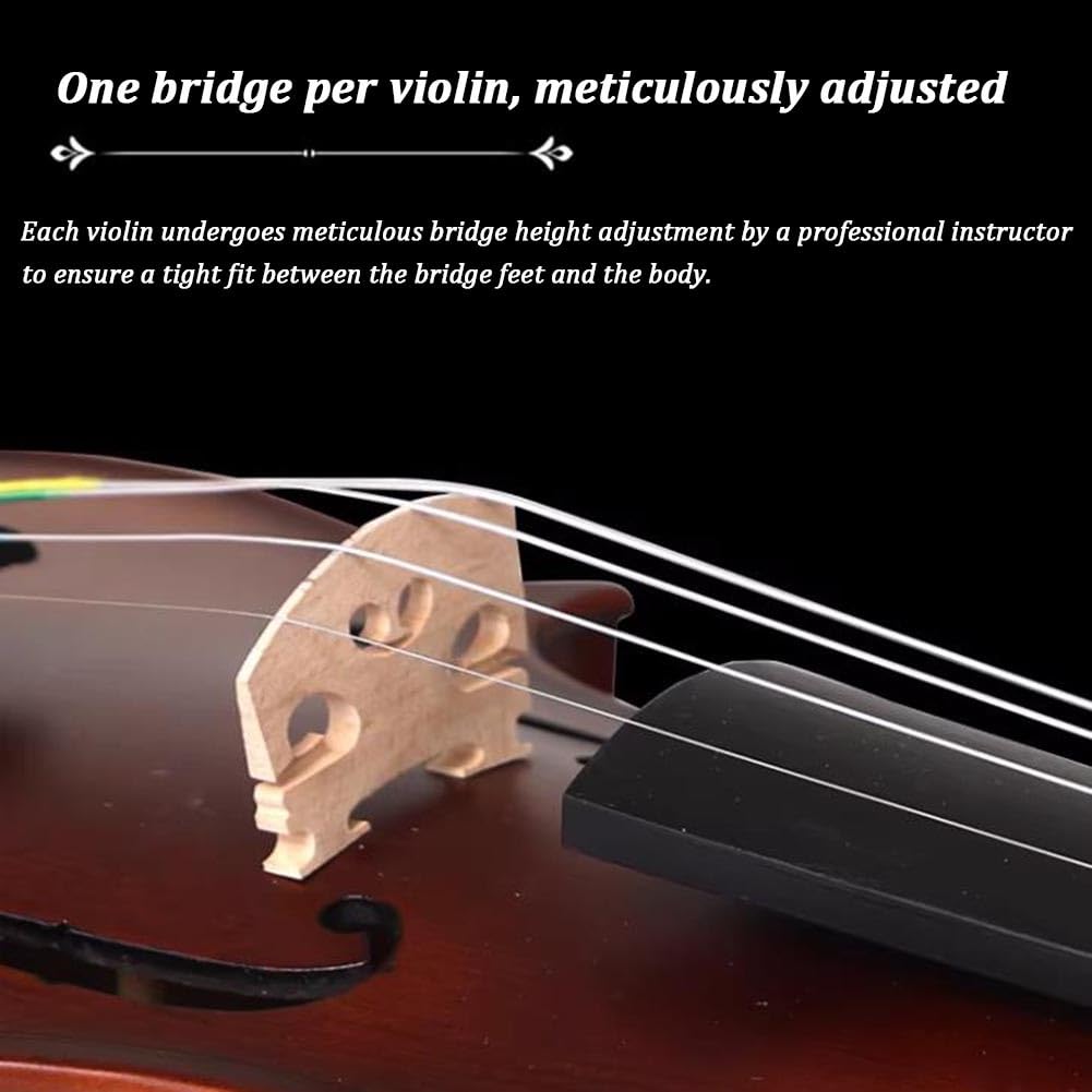 Set Per Violino 4/4, Violino Standard In Legno Massello Per Principianti, Adulti E Studenti, Con Custodia Rigida, Spalliera, Pece, Archetti, Accordatore A Clip E Corde Extra(4/4)