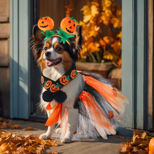 Disfraz Halloween para perro mediano 3 piezas miniatura 4