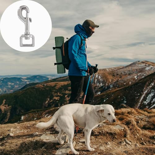 Drehkarabinerhaken für Hundeleinen, 2er Set, Robuste Edelstahl Karabiner, Ideal für Paracord 550 Hundehalsbänder, Mit drehbarem Gelenk