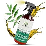 GRÜNSCHMIEDE NEUHEIT - Neemöl-Sofortspray 1000 ml für widerstandsfähige & vitale Pflanzen, fertige Neemöl mit Emulgator Sprühlösung zur direkten Anwendung, Niemöl für drinnen u. draußen