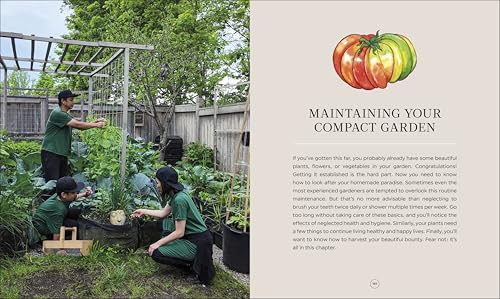 The Compact Garden: A Beginner's Guide to Growing Vegetables in Small Spaces Hardcover – April 14, 2026 - Image 7