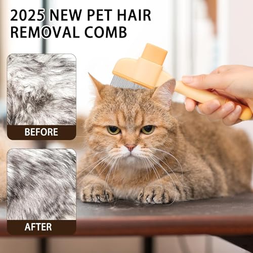 2 Stück Katzenbürste, Fellblitz Bürste für Haustiere, Katzenbürste, Ideal für Langhaarkatzen und Kurzhaarkatzen, Entfernt lose Haare, Fördert gesundes Fell, Perfekt für zu Hause