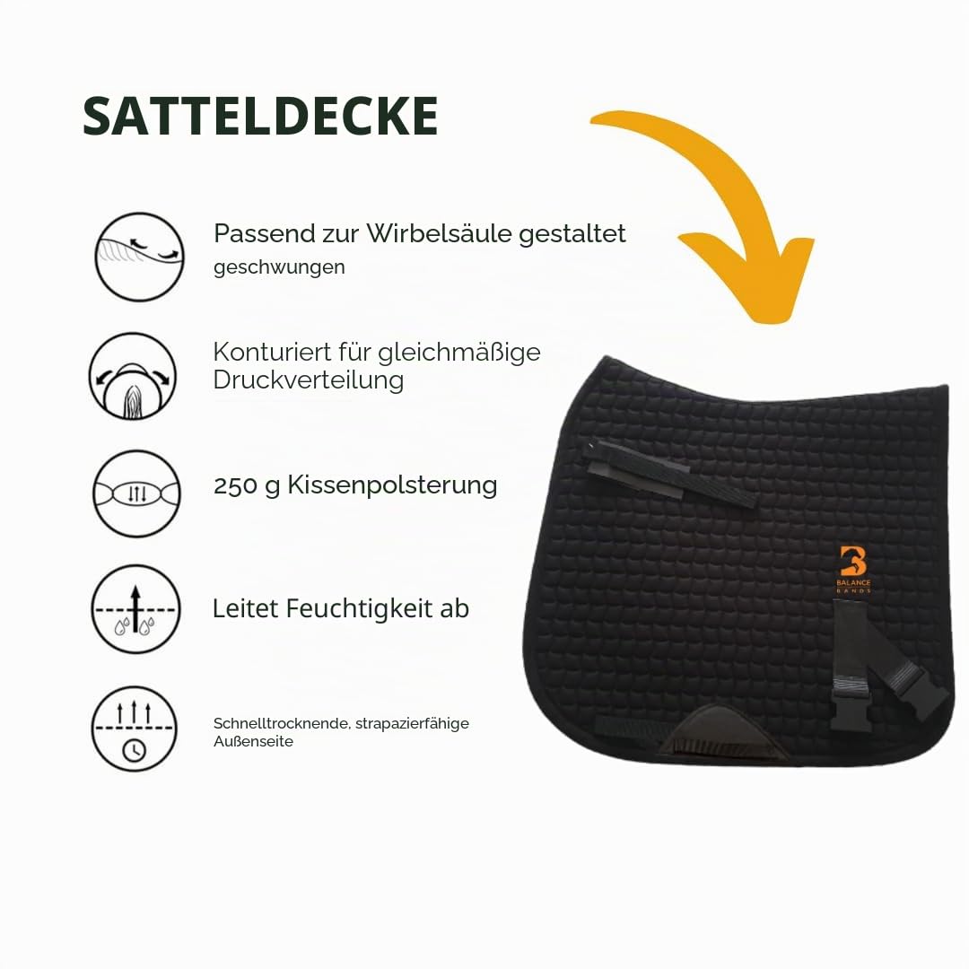 Equine Band System - Dressur Core Conditioning Trainingshilfe für Pferde mit Pro Grade Pferdephysiobändern und Dressurschabracke von Equine Balance Bands.