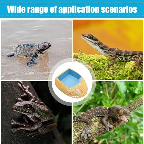 Réservoir d'eau pour crabe ermite avec accessoires rampe escalade - 5