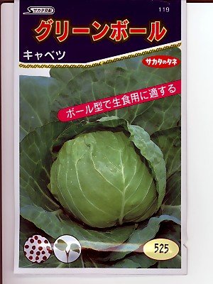 Amazon.co.jp: キャベツ グリーンボール サカタのタネのボール型