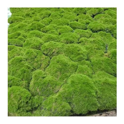 ALFAAL Tappeto Decorativo in Muschio Simulazione Pianta Muschio Prato Artificiale Sintetica di Muschio per la Decorazione della Finestra A'ascensore del Centro Commerciale del Giardino Color : E, S