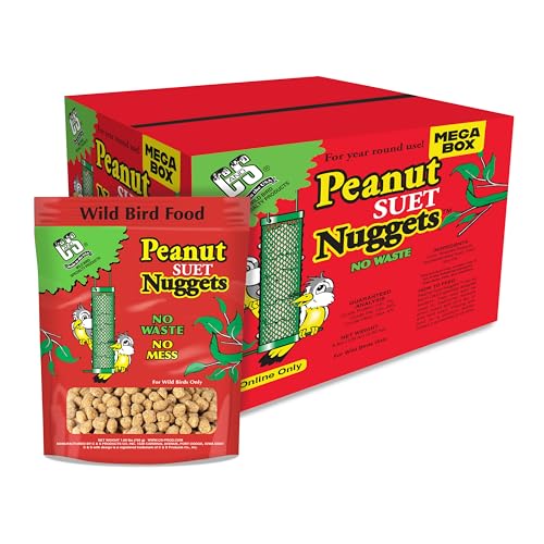 C&S Wild Bird Peanut Suet Nuggets Mega Box, 8 Pounds