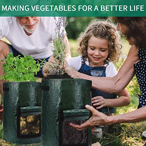 10 Gallon Plant Grow Bags-3 Packs, Fabric Grow Pots For Strawberry Potato Tomato Carrot & Other Vegetable, Heavy Duty Thickened Garden Growing Bags With Window And Handles (Dark Green) #TOP6