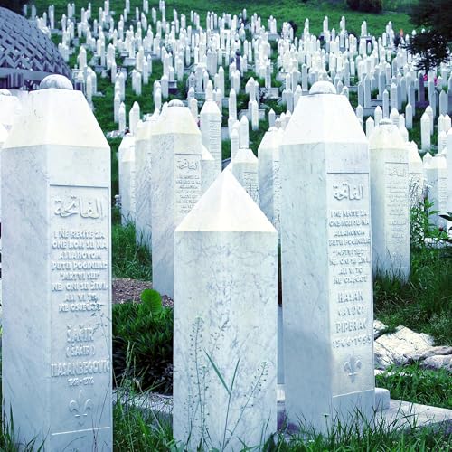 『30 Jahre Srebrenica: Warum der Genozid uns heute noch betrifft | PressF.de #23』のカバーアート