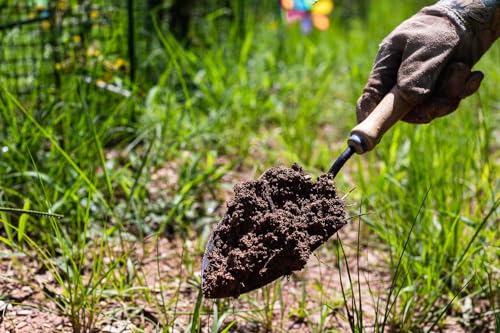 50L Soil Improver - Enriched Gardening Soils for Outdoor and Indoor Plants - Small to Large Plants - Promotes Rooting and Plant Vitality