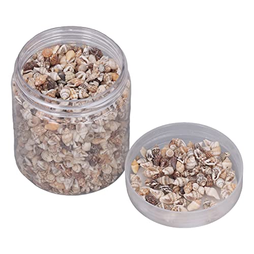 CHEOTIME 1 lata de conchas marinas pequeñas no porosas, elegantes conchas marinas finamente elaboradas en espiral para decoración de bricolaje, botella de deriva y arreglo de