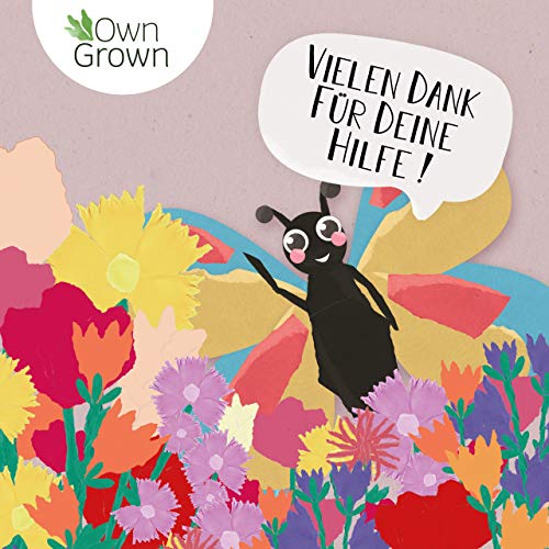 Bienenweide Blumenmischung Schmetterlingstreff von OwnGrown