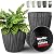 Mueller Flower Pots