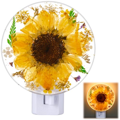 Image of Glooglitter Pressed Flower Night Light Plug in-Handmade Dried Floral Wall Night Light, Glow Decorative Nightlight for Hallway Bedroom Nursery Bathroom, Vintage Botanical (Yellow,Sunflower)