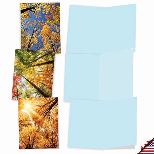 Image of The Best Card Company - 10 Beautiful Note Cards Blank (4 x 5.12 Inch) - Fall and Autumn Season, Boxed Notecard Assortment - Over the Top M2006