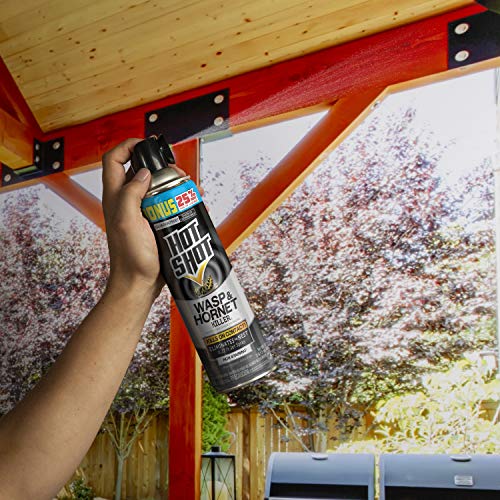Hot Shot 13416-1 Wasp & Hornet Killer Spray  thumb #1