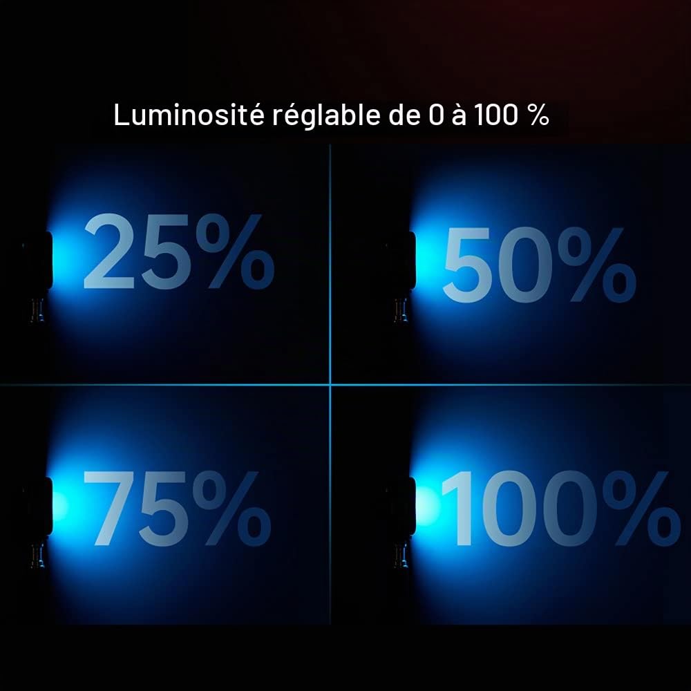 GODOX LITEMONS LED6Bi LED Mini Lampe Vidéo, Lumière Bicolore 3200K-6500K | CRI95, avec Batterie Lithium Rechargeable, pour Maquillage, Live Streaming, Vlog, Youtube, Photographie, ‌Macrophotographie‌