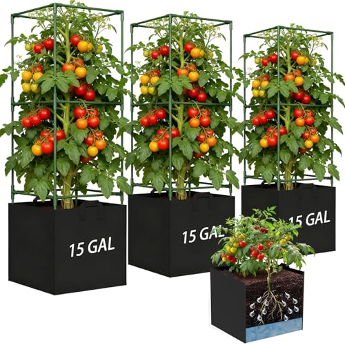 Tomatenkäfige mit Pflanzbeuteln 3er-Pack 122 cm Höhe Schwerlast Quadratisch Rankgitter für Kletterpflanzen Gemüse Blumen Obst 65 Liter Pflanzsäcke
