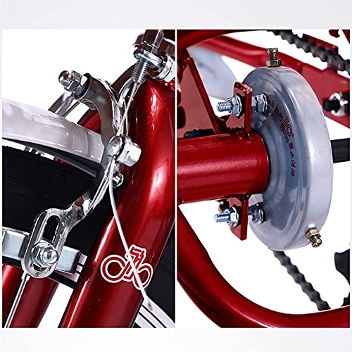 Triciclo adulto de 3 ruedas de 20 pulgadas con faro, bicicleta de 1 velocidad, triciclo con canasto para compras, ideal para adultos, mayores, mujeres y hombres, para picnic y deportes al aire libre miniatura 5