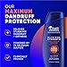 Head & Shoulders Clinical Dandruff Defense + Dry Scalp Rescue Shampoo 13.5 oz Twin Pack