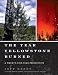 The Year Yellowstone Burned: A Twenty-Five-Year Perspective