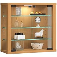 VCM Wall Display Case Hanging Glass Display Case Vitrosa S Beech