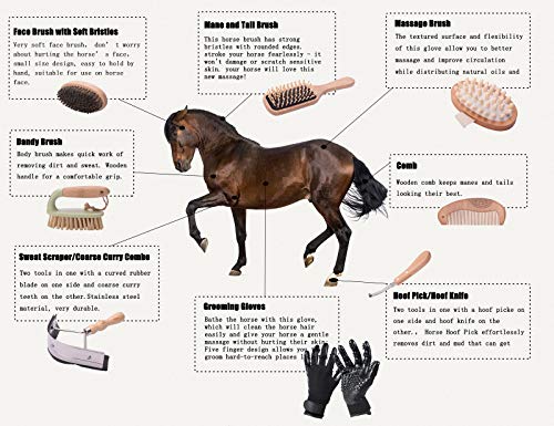 Horse Grooming Kit(10-Piece),Portable Storage Box,Horse Cleaning Tool Set with Assorted Hair and Curry Brushes, Hoof Pick Sweat Scraper,Grooming Glove,Riding Equipment for Beginners.