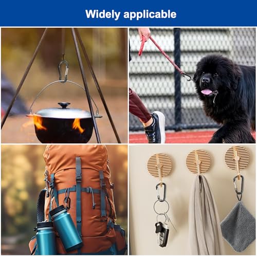 20 Stück Karabinerhaken Schwarz, 50mm/1.99’’ Karabiner Set, Karabinerhaken Klein, Karabiner Schwarz, D-Ring Karabiner Schlüsselanhänger, für Outdoor Sport, Wandern, Camping (Schwarz)