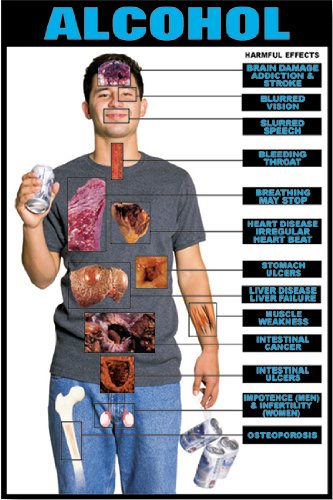 alcohol and cigarettes effects Amazon.com: Health and Drug Education Harmful Effects of Alcohol 24