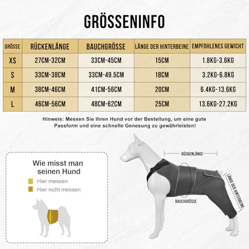 OneTigris Hundebody Nach OP, Hundebody Nach Kastration Rüde mit Verstellbaren Riemen, Weich Leckschutz Hunde für Rüde Oder Hündin, Body Hund für Kleine/Mittlere/Große Hund (M) – Bild 3