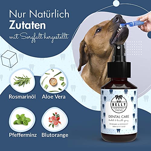 Belly® Dentalspray für Hunde -100ml- Frische Minze - Kein Spülen oder Bürsten - Beseitigt Mundgeruch - Zahnpflege Hund - Anti Zahnstein und Mundgeruch Hund, Dentalspray für Katzen