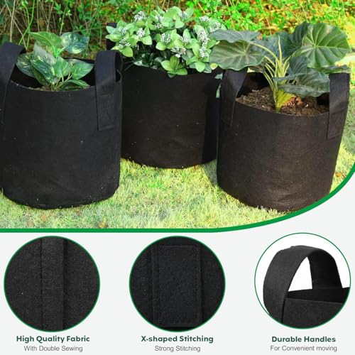 Image of Decor & More ? Grow Bags with Durable Handles & Reinforced Stitching,Thick Non-Woven Fabric | 280 GSM Grow Bag for All Plants, Garden Accessories| Grow Bags 12x10 inch - Pack of 5 ? Black
