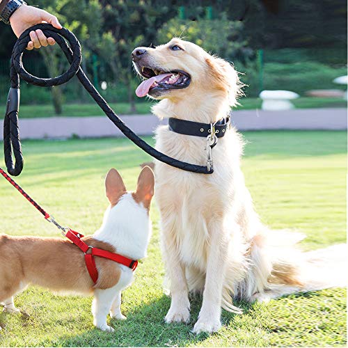 Ganchos giratorios con cierre de clip para perro y accesorios de caballo en pack de 10 unidades 8
