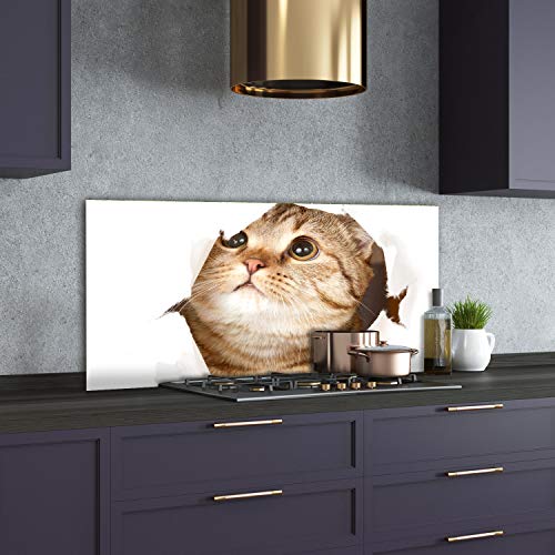 Splashback guard chat beige pour protéger le mur de votre cuisine