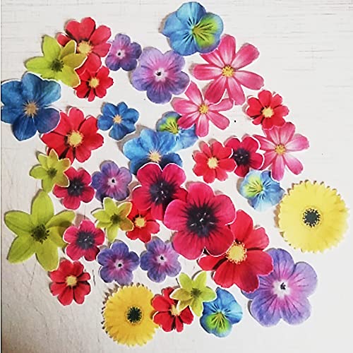 77X Edible Flowers For Cake Decorating Cupcake Toppers For Anniversary #TOP1