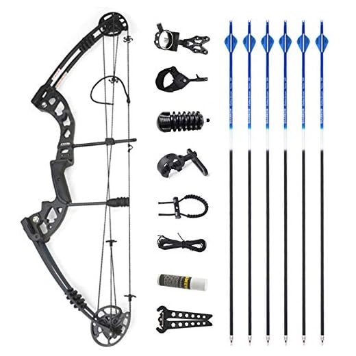 SHARROW Kit Arc à Poulies pour Chasse au Tir à l'arc Arcs Compounds Set 30Lbs à 40Lbs Réglable Arc de Chasse pour Adulte avec Accessoires et Flèches en Carbone (Type 3)